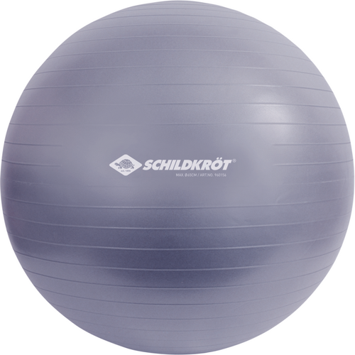 Gym Ball  Anti-Burst- 65cm DSJ5GYMAB65